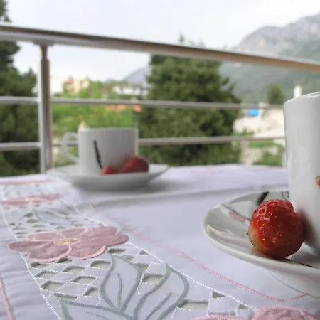 Gesamte In Mit Moebliertem Balkon By Interhome Apartament Gradac (Split-Dalmatia)